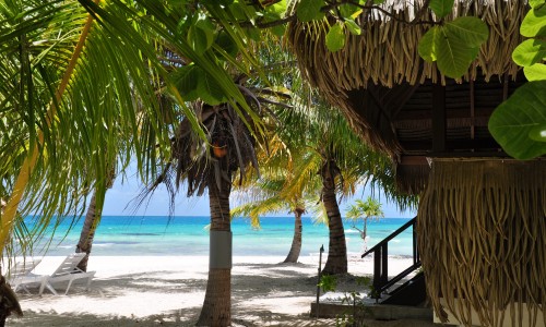Pension Tikehau Paradise